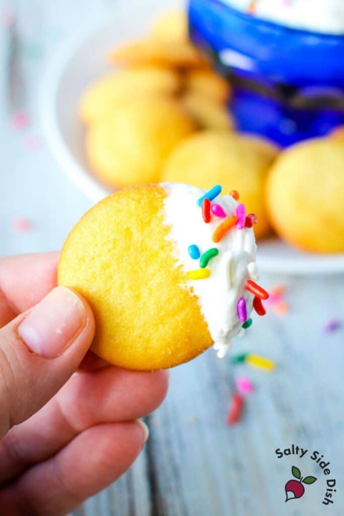 TikTok Funfetti Dip with Cake Batter 5 Min Recipe! Salty Side Dish