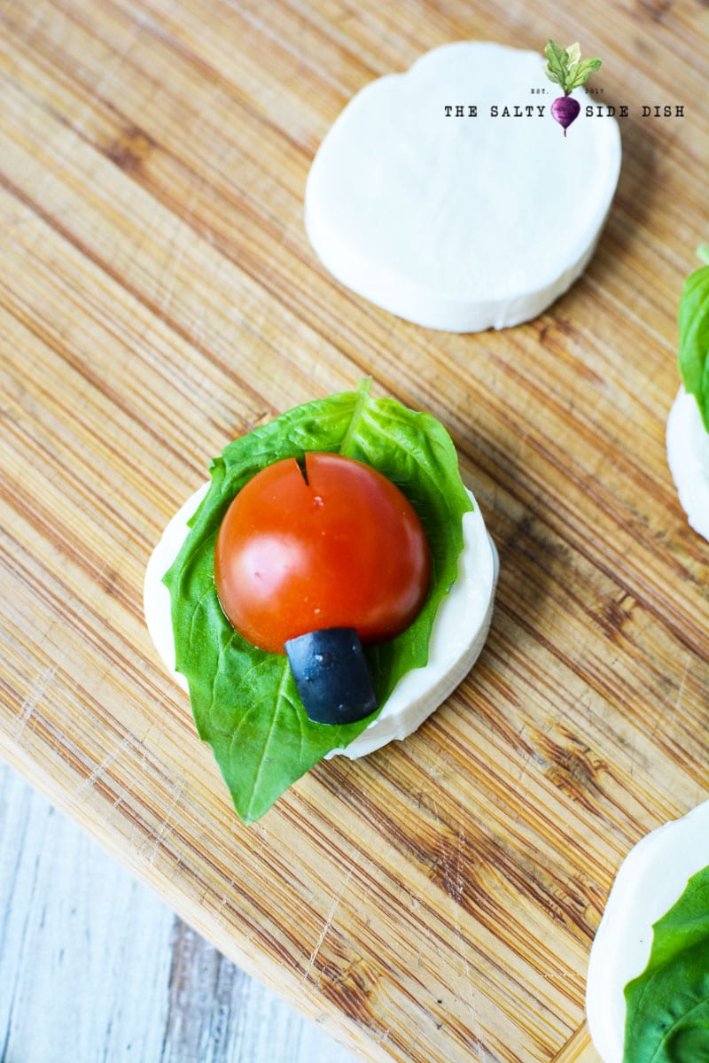 tomato and mozzarella make up an adorable appetizer lady bug