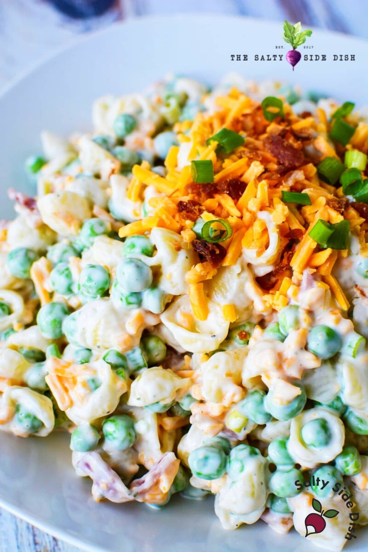 Cold Summer Pasta Salad Recipes