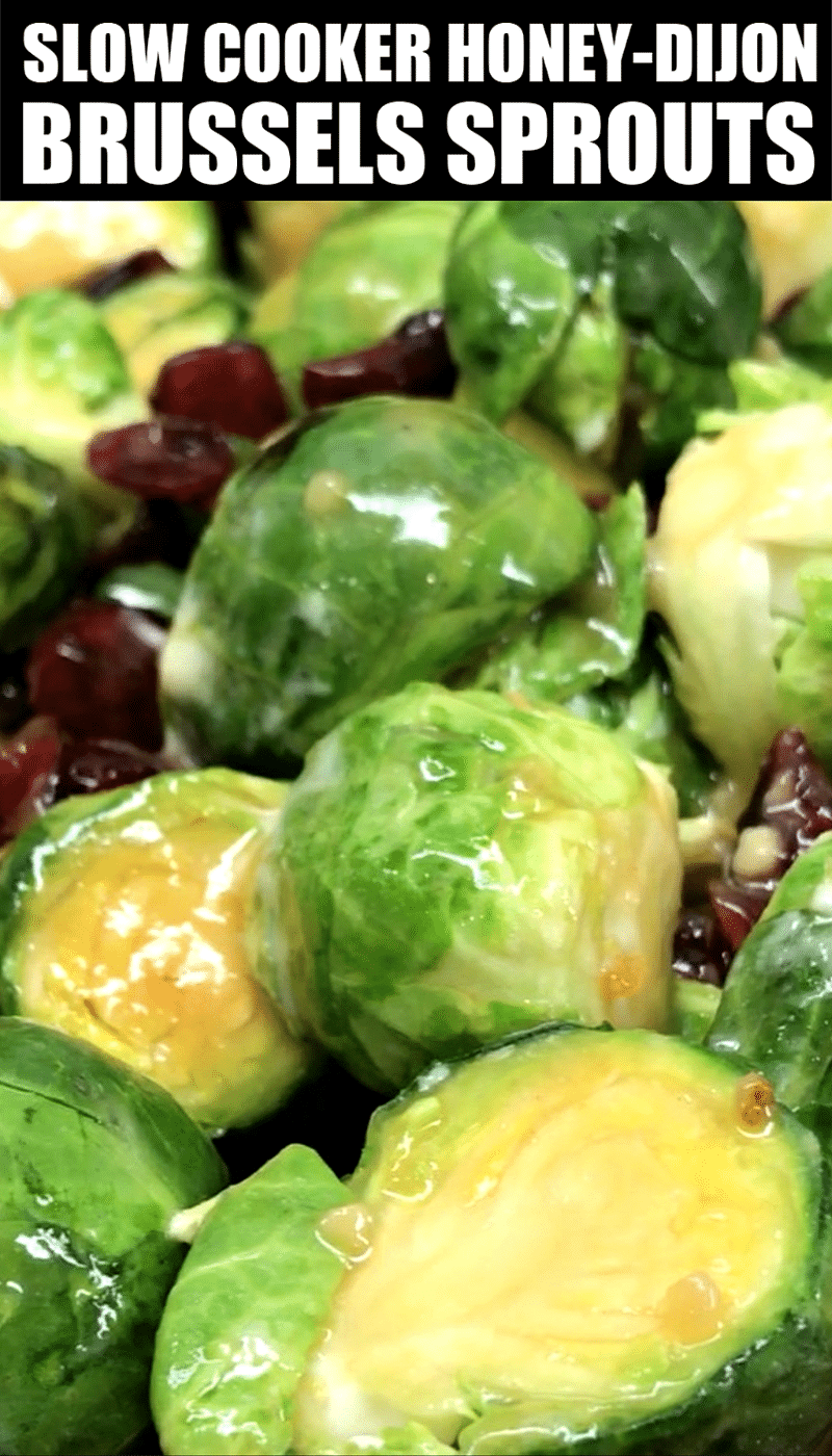 Honey Dijon Brussels Sprouts with cranberries, a sweet Brussel Sprouts dish in a slow cooker #saltysidedish #sidedish #slowcooker #crockpot #brusselsprouts #vegetables Honey Dijon Brussels Sprouts with cranberries, a sweet Brussel Sprouts dish in a slow cooker #saltysidedish #sidedish #slowcooker #crockpot #brusselsprouts #vegetables