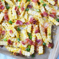 Texas Cheese Fries