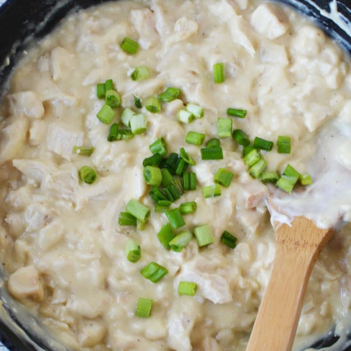 Sour Cream Chicken Enchiladas