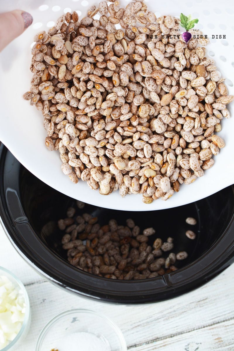 pinto beans
