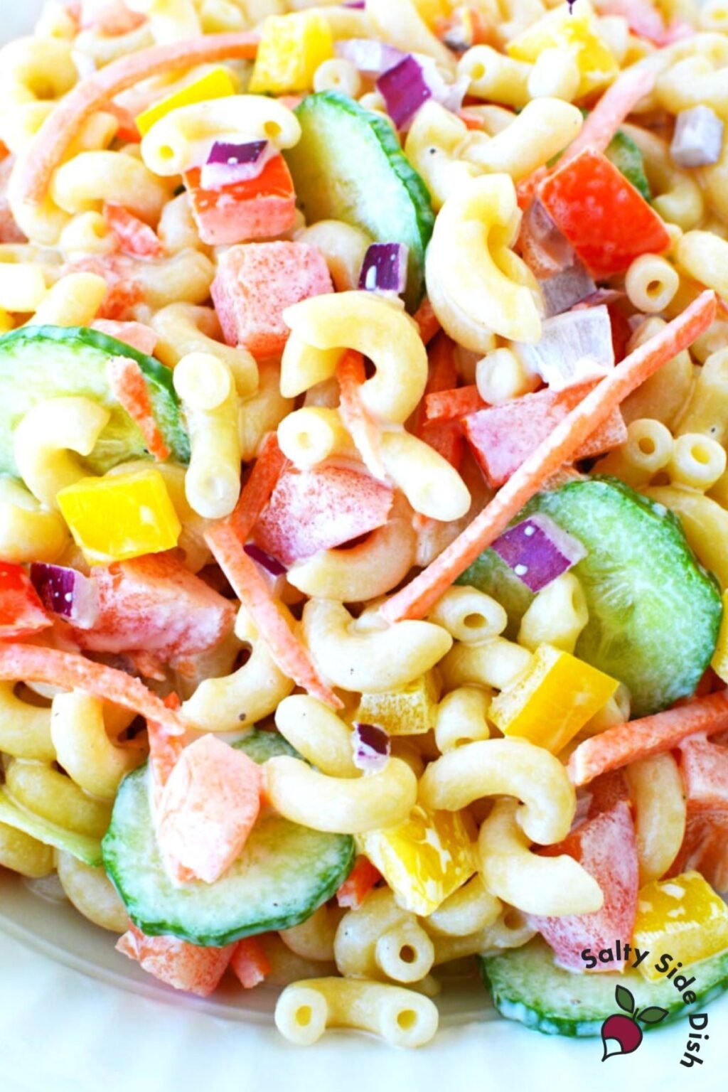 Cold Vegetable Macaroni Pasta Salad Salty Side Dish