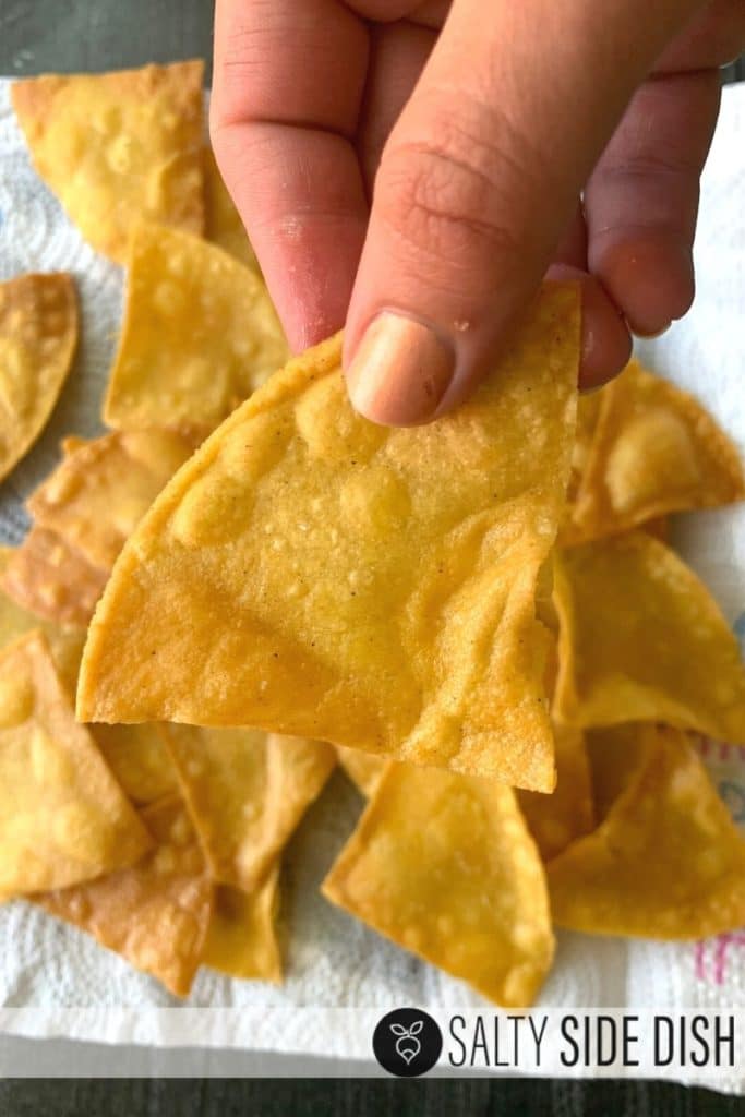 Homemade Corn Tortilla Chips How to Fry on Stove Top