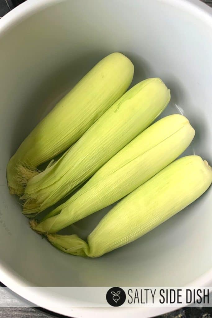 4 husk-on ears of corn in the basin of a pressure cooker.