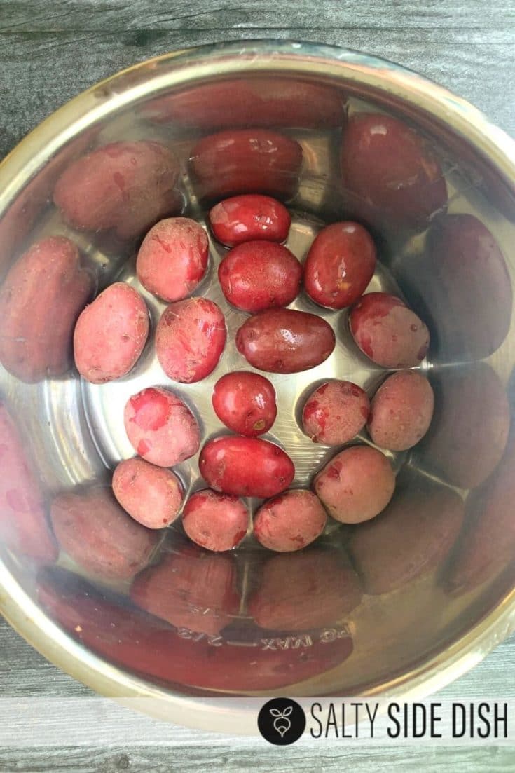 Simple Pressure Cooker Red Potatoes with Buttery Parmesan Salty Side Dish