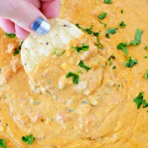 tortilla chip dipping into the cheese dip