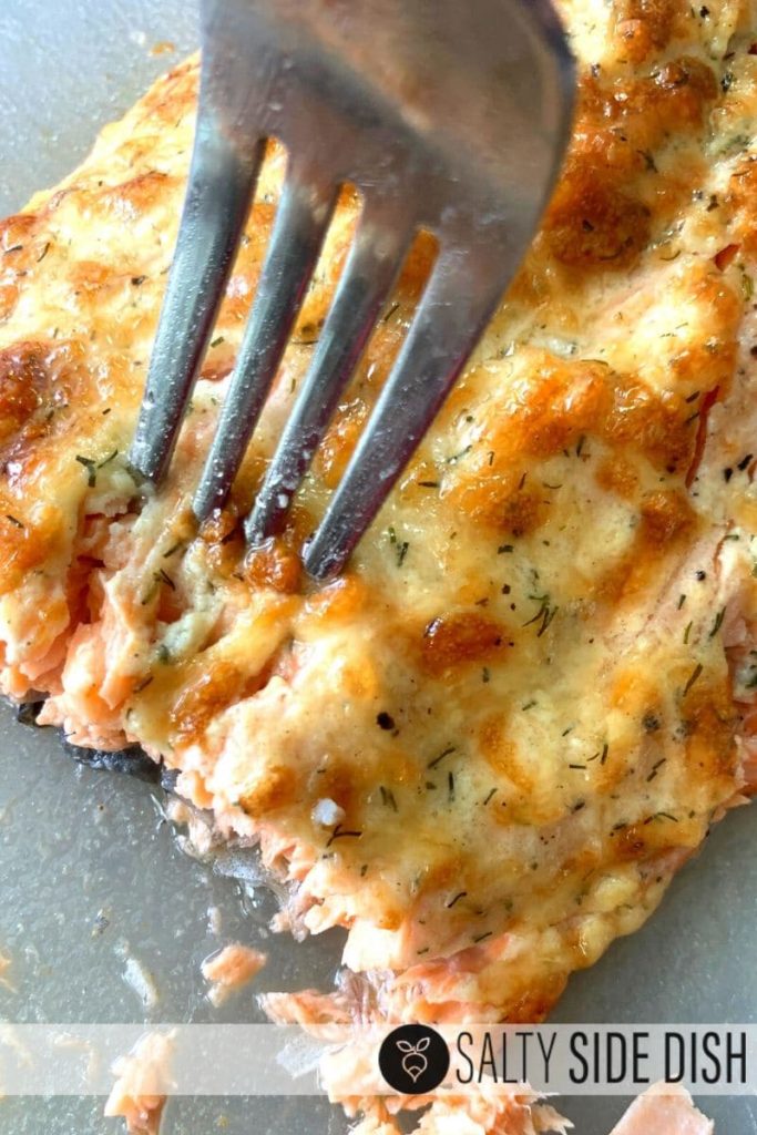 AMAZING Ninja Foodi Salmon Recipe Air Fryer