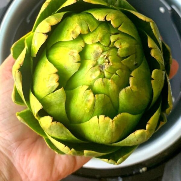 Artichokes in Pressure Cooker with Garlic Butter Salty Side Dish