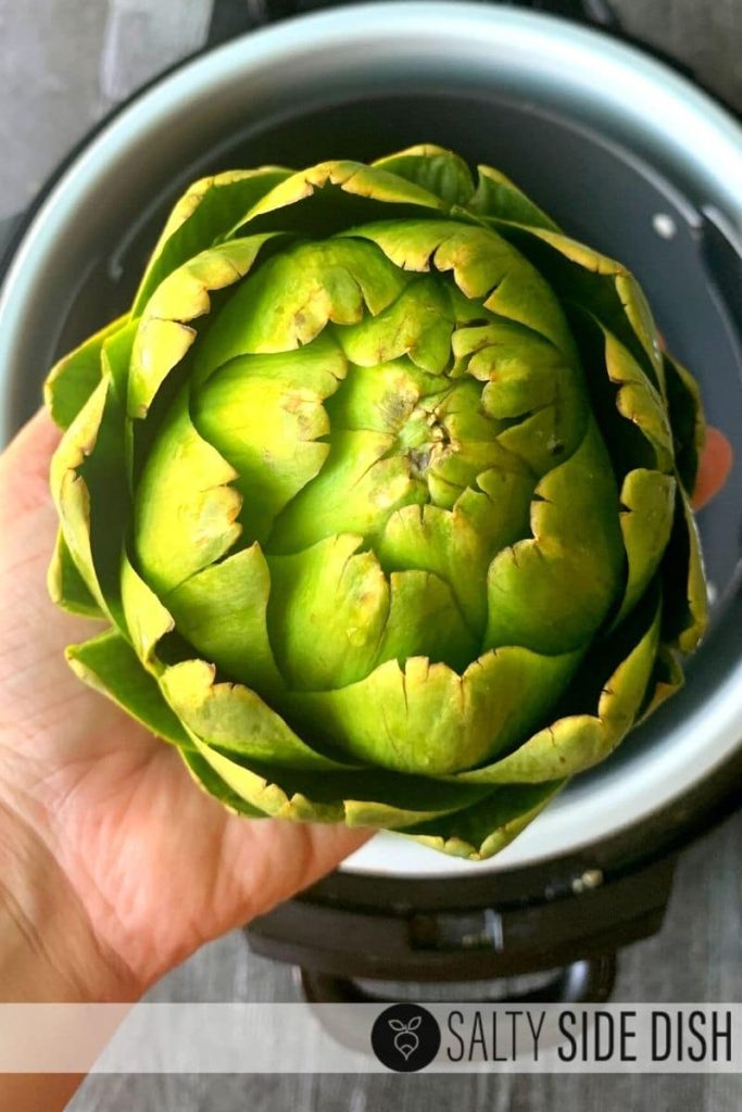 Ninja Foodi Cheesy Chicken Pasta Recipe Ninja Foodi