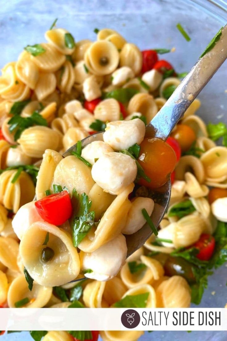 Orecchiette Caprese Pasta Salad with Herb Vinaigrette Salty Side Dish