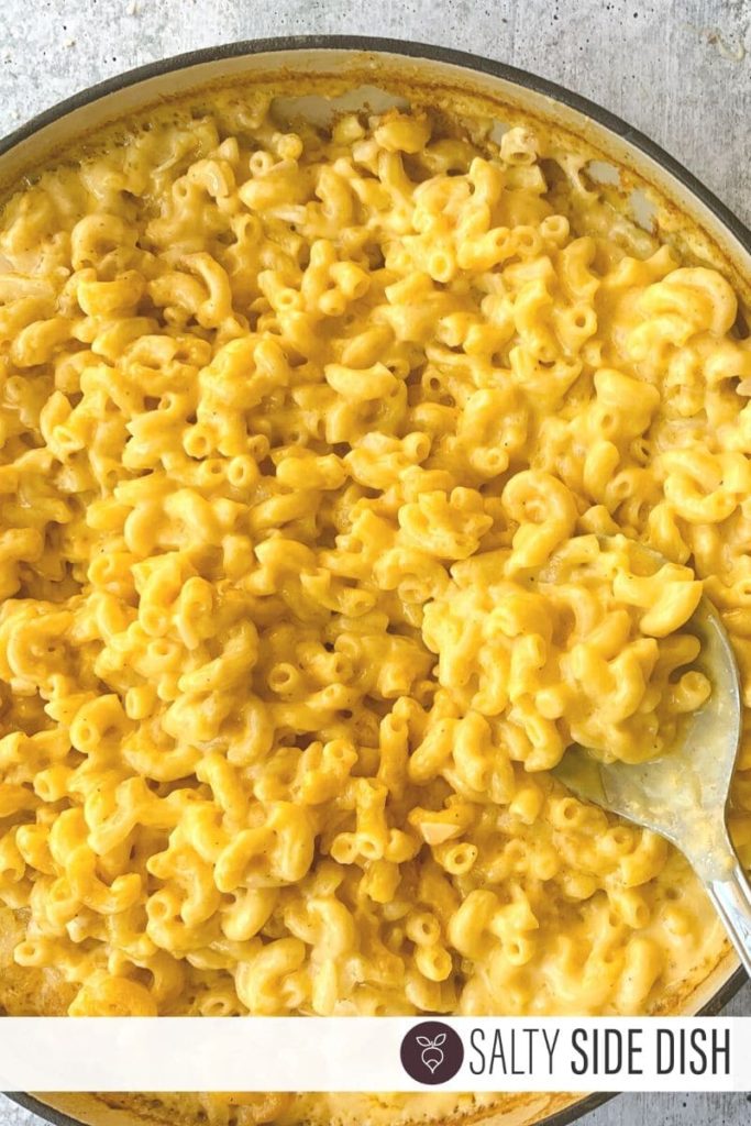 No Boil Mac and Cheese Oven Baked to Perfection Salty Side Dish