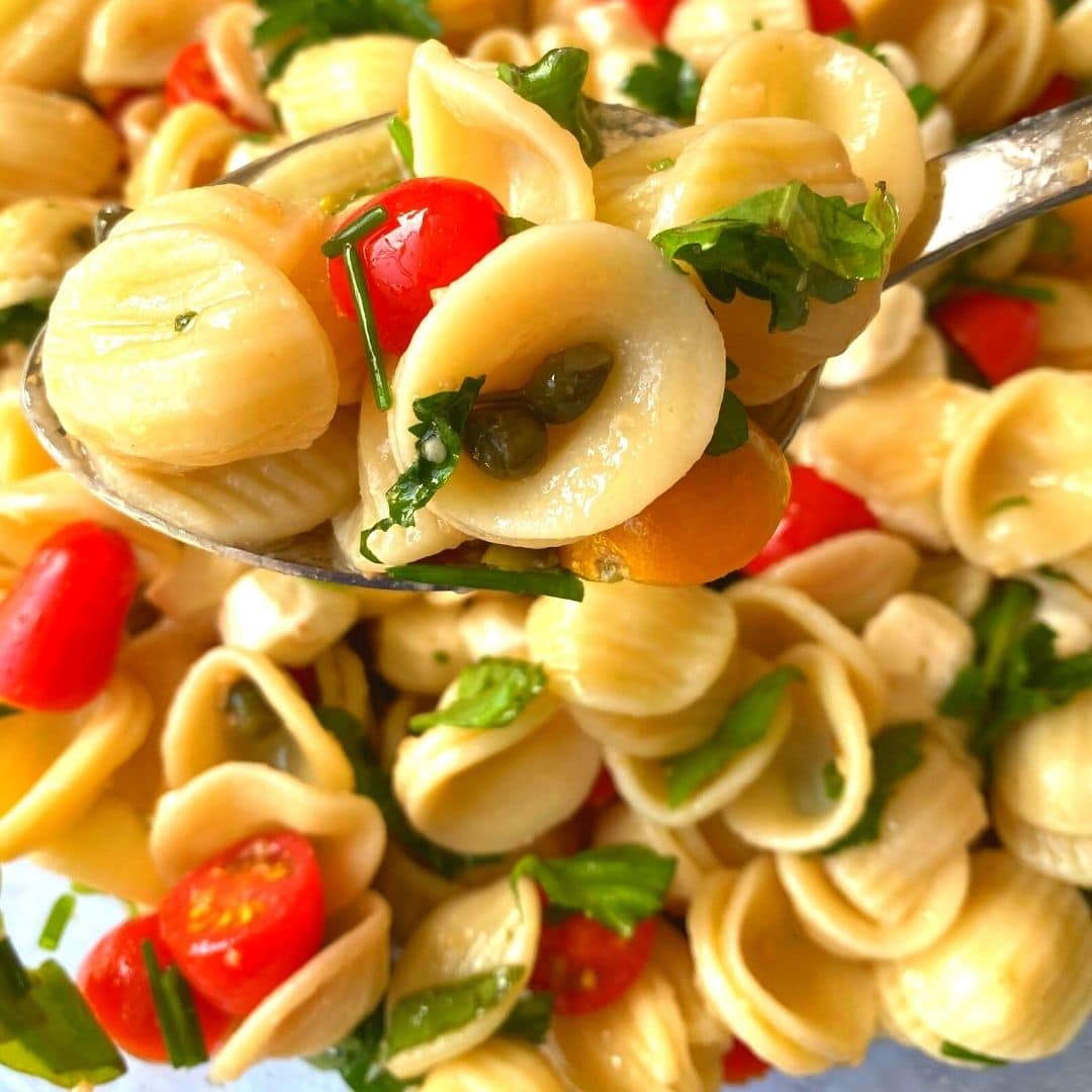 Orecchiette Caprese Pasta Salad with Herb Vinaigrette Easy Side Dishes