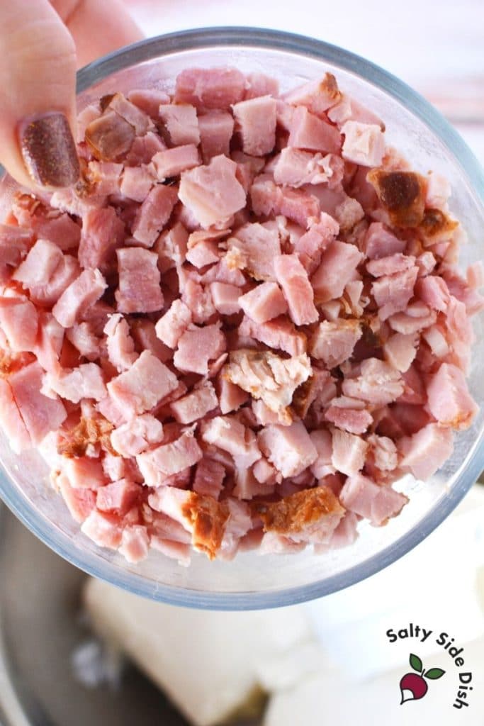 Ham Cheese Ball with Green Onions and Pecans! Salty Side Dish