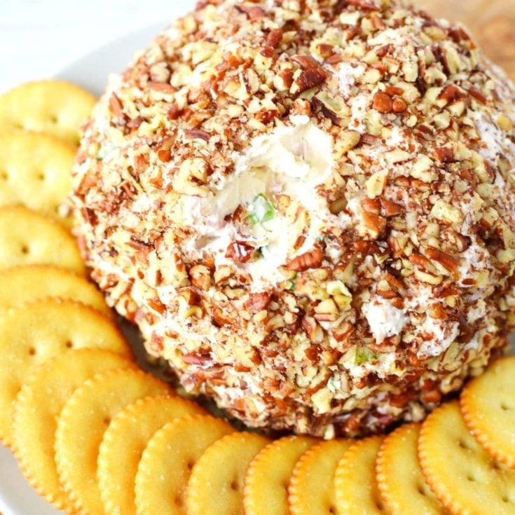 Ham Cheese Ball with Green Onions and Pecans! Salty Side Dish