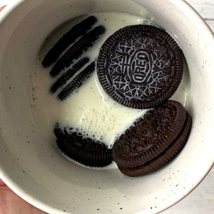 TikTok Oreo Mug Cake Recipe, Only 2 Ingredients, OMG