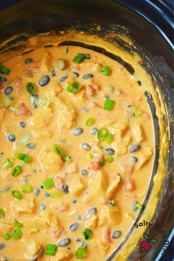 Crock Pot Velveeta Cheese Dip with Chicken Salty Side Dish