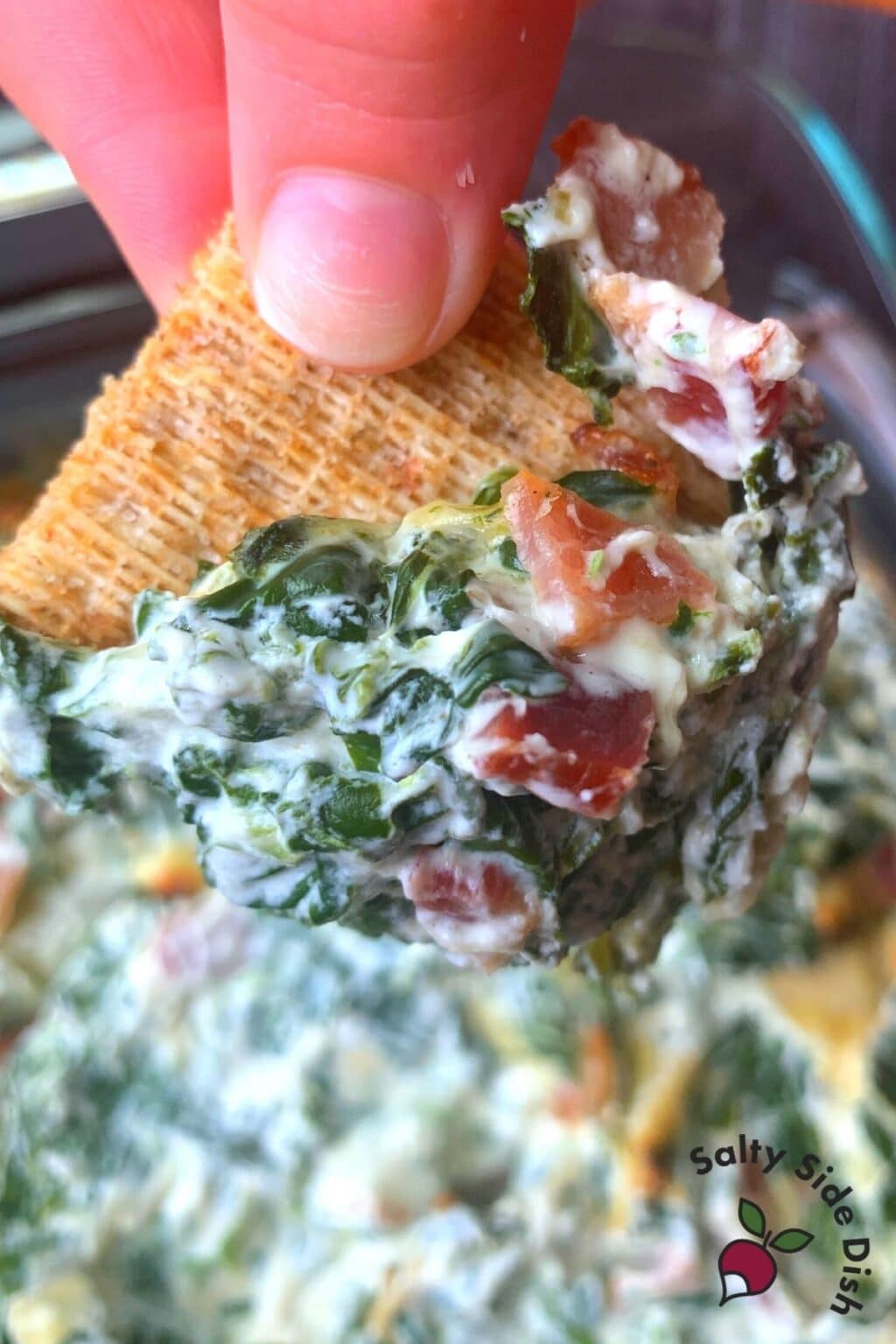 Spinach Artichoke Dip (Oven Baked & Crock Pot Recipe) Salty Side Dish