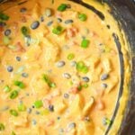 dip already made in a slow cooker