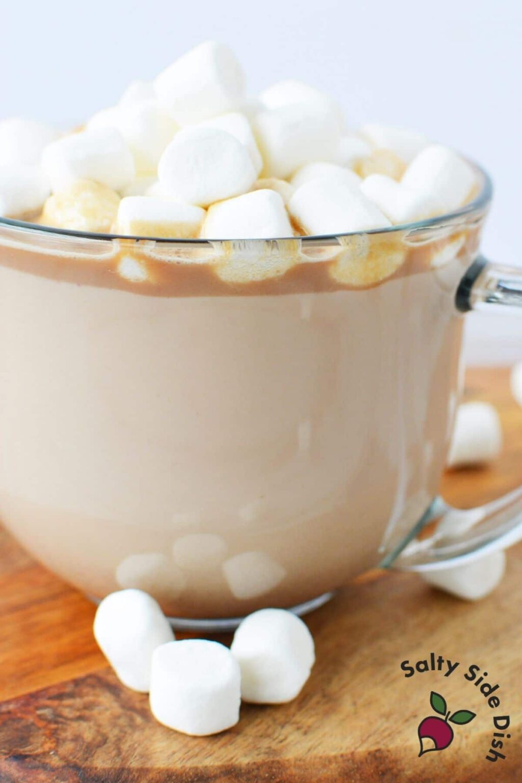 Coffee and Hot Chocolate Rich Homemade Mocha Recipe