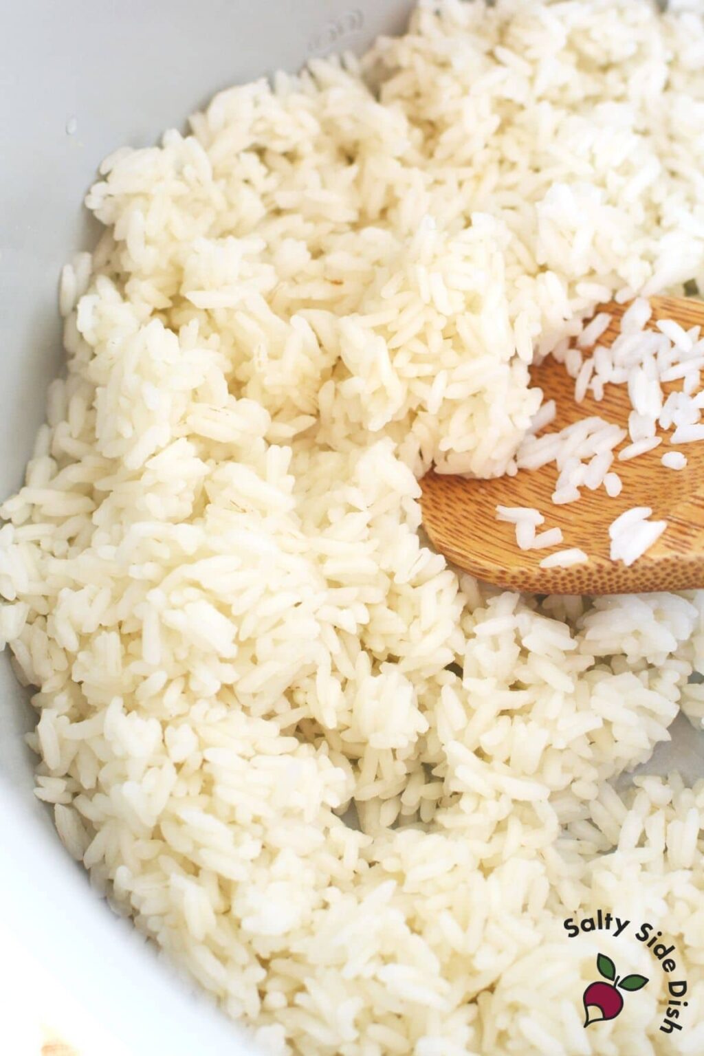 Ninja Foodi Rice {Pressure Cooker} Salty Side Dish