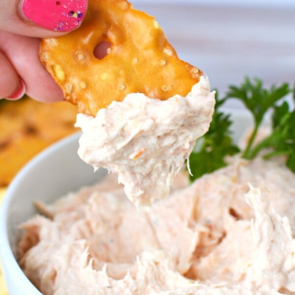 Tuna Dip Recipe with Cream Cheese Salty Side Dish