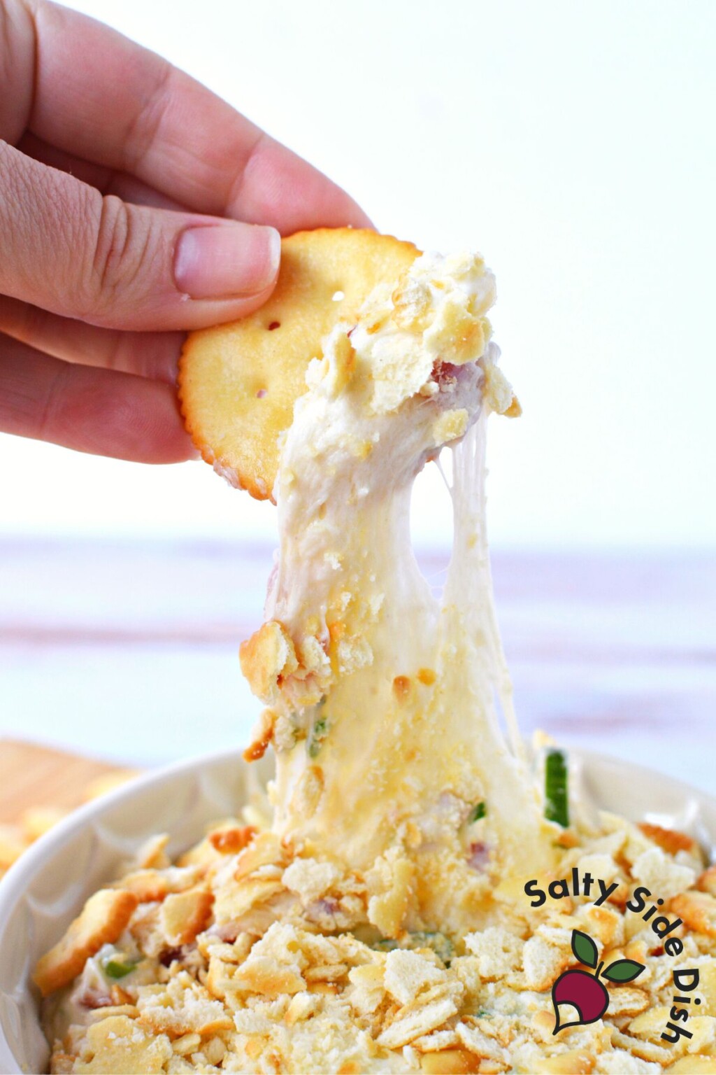 Bacon Swiss Cheese Dip Is Absolutely Irresistible! Salty Side Dish