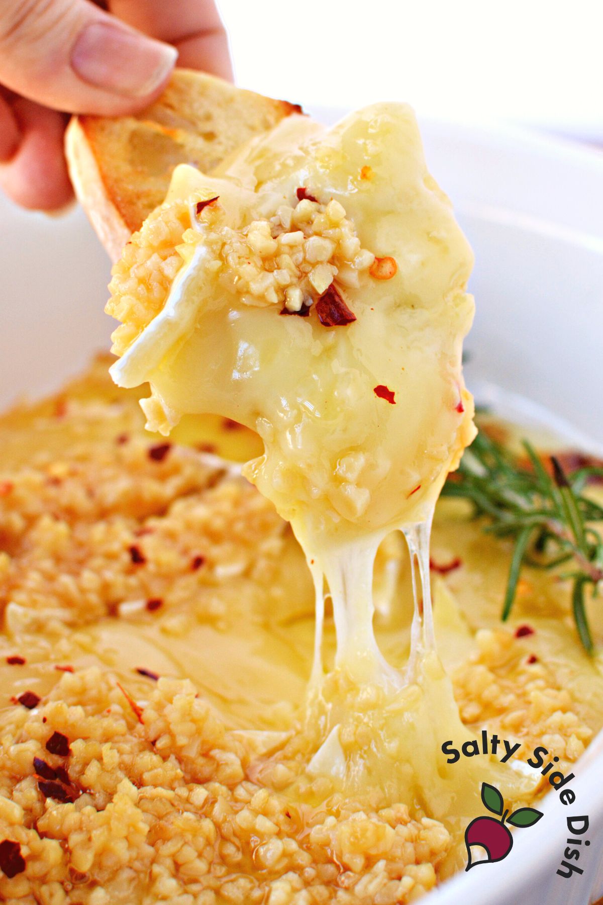 Heavenly Garlic Baked Brie Dip Perfect for Any Party! Salty Side Dish