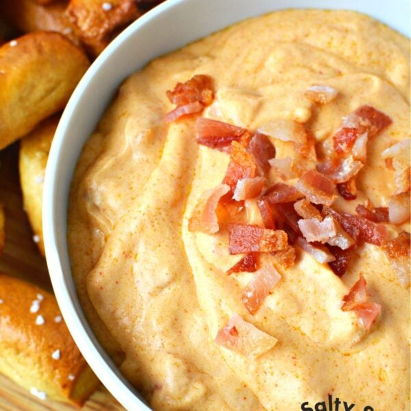 Pub Style Beer Cheese Dip in Slow Cooker Salty Side Dish