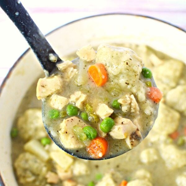 Homemade Chicken Stew with Vegetables, Dumplings, & Potatoes