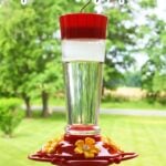hanging hummingbird feeder with homemade nectar recipe.