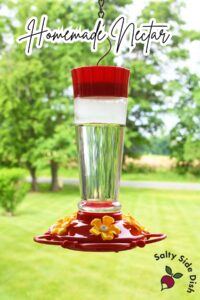 Best Hummingbird Food Ratio: DIY Homemade Nectar Recipe