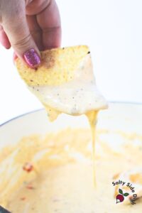 Queso Ranch Dip Recipe - Like Chuy's Tableside Dip! - SaltySideDish