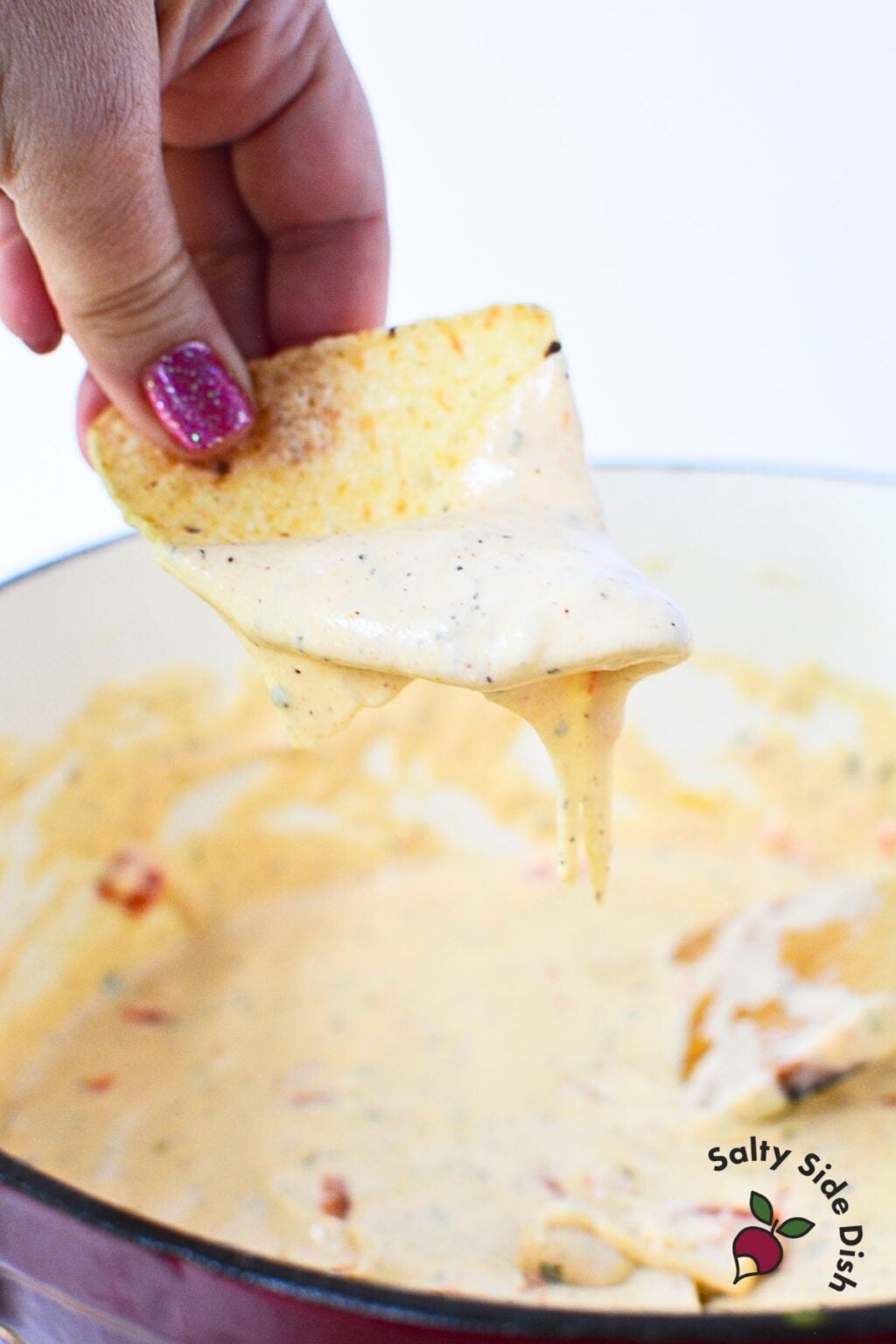 Best Appetizer Recipes and Ultimate Party Ideas | Salty Side Dish