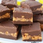 stacks of perfect fudge.