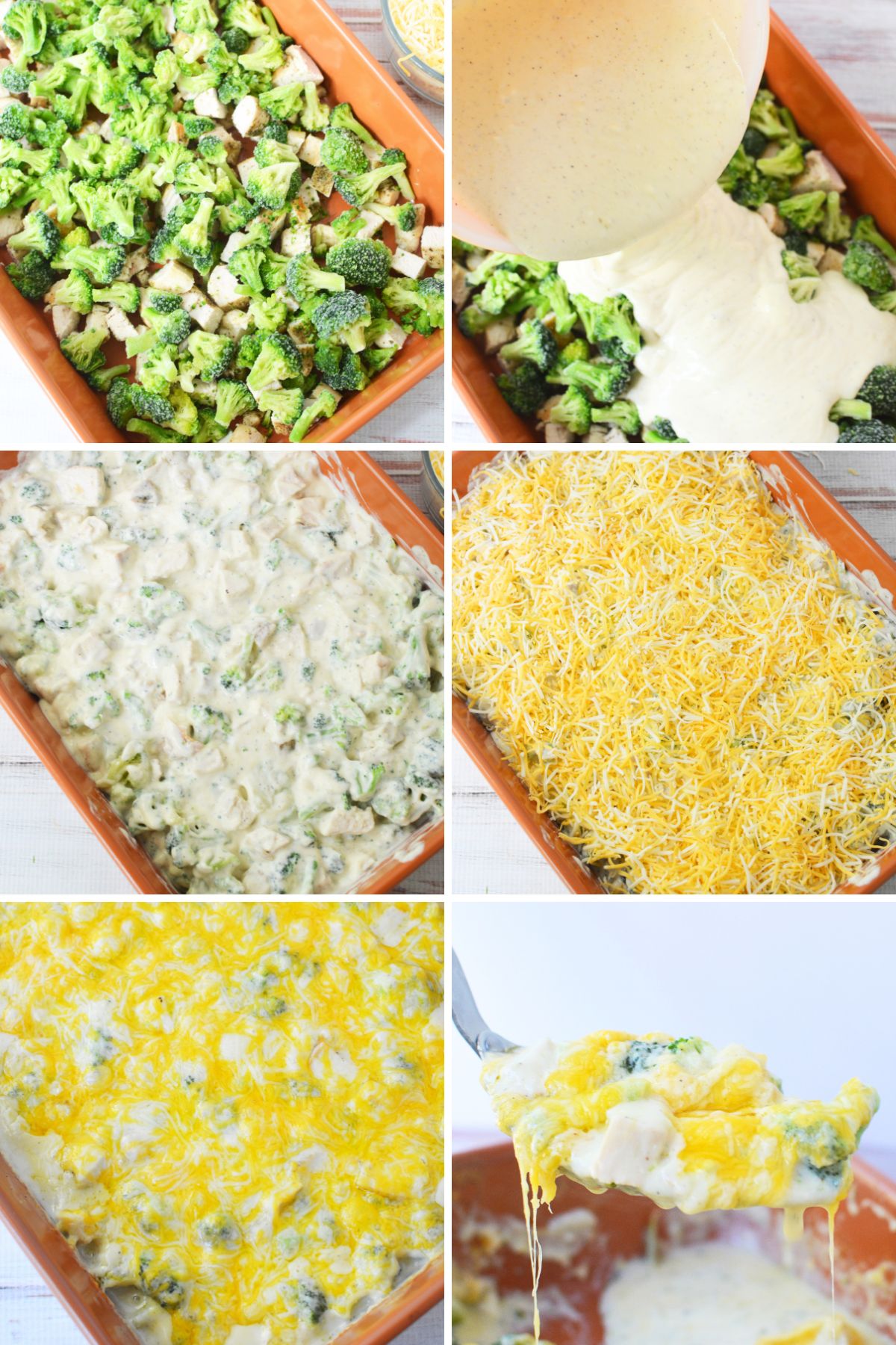 Step by step process of making chicken broccoli casserole with Campbell’s soup, broccoli, chicken, and melted cheese baked in a 9x13 dish.