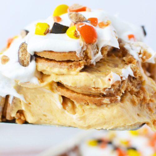 Slice of peanut butter icebox cake showing soft peanut butter cookie layers and creamy pudding filling