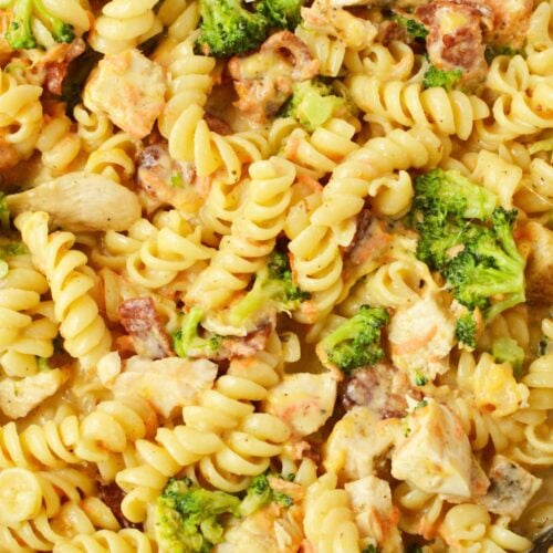 Close-up of cheesy chicken bacon pasta with rotini, broccoli, carrots, and creamy sauce.