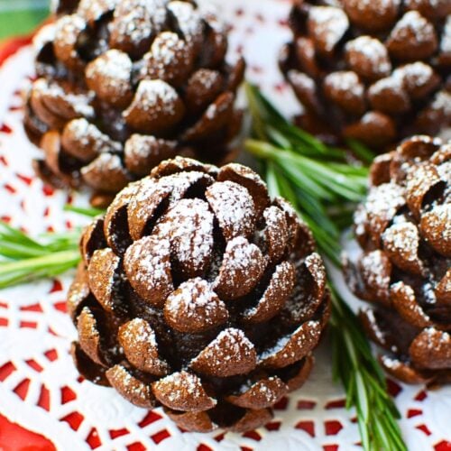 Ingredients for pinecone brownies including chocolate chunks, butter, sugar, cocoa, flour, sweetened condensed milk, eggs, and Chocapic cereal.