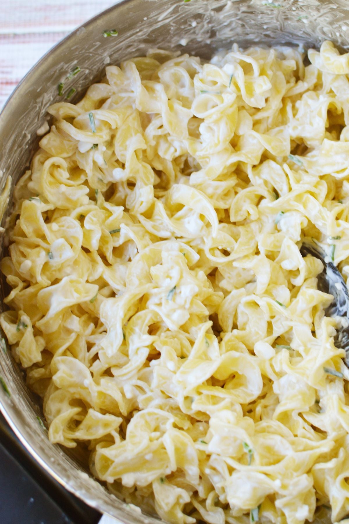 Egg noodle casserole mixture coated in sour cream and cottage cheese before transferring to a baking dish.
